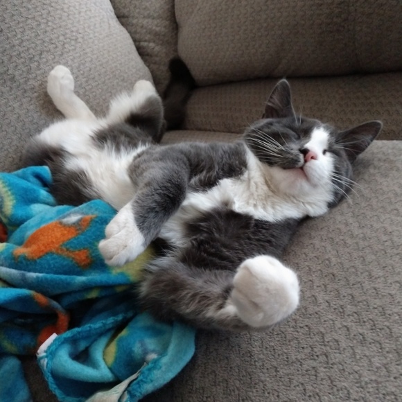 Meet your Posher, Jenn - Picture 3 of 4